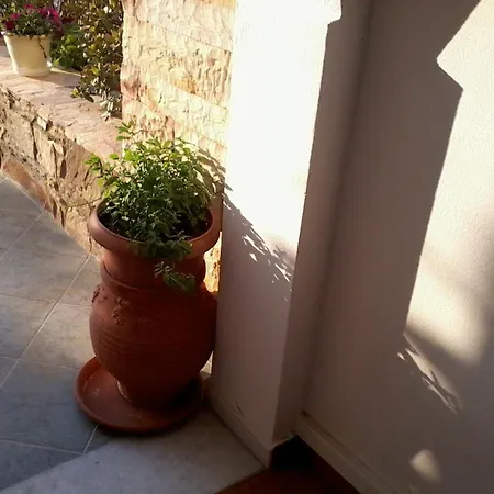 Aparthotel Acti 2*